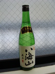 DSC04166.JPG